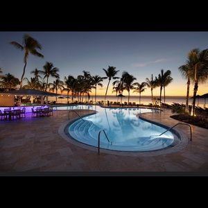 Meet your Posher, Dinorah